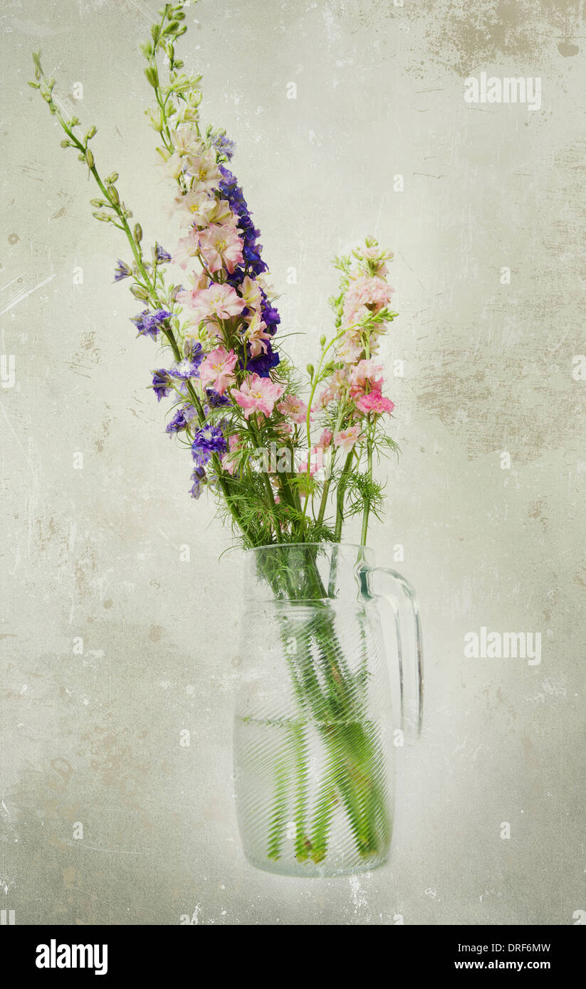 Larkspur flowers hi-res stock photography and images - Alamy
