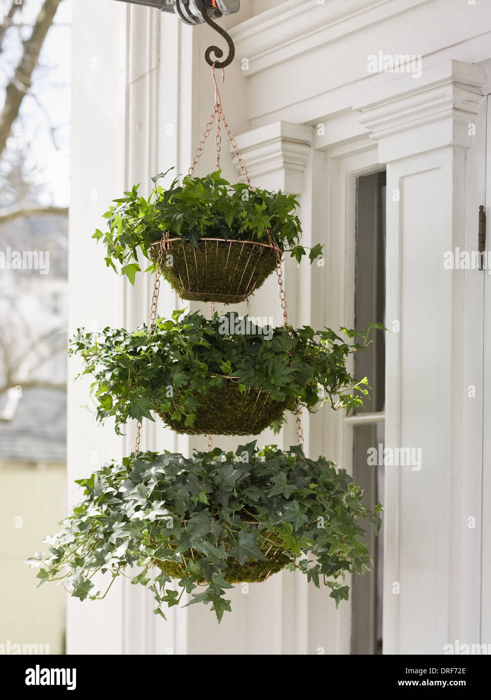 Maryland USA hanging basket green plants house porch Stock Photo