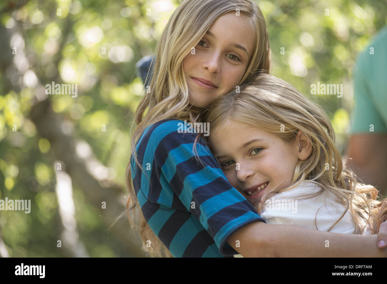 Utah USA children and adults in the shade of woodland Stock Photo