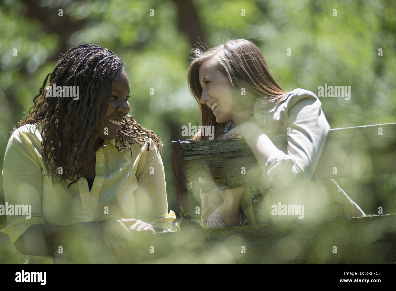 Utah USA Two young women talking to each other laughing Stock Photo