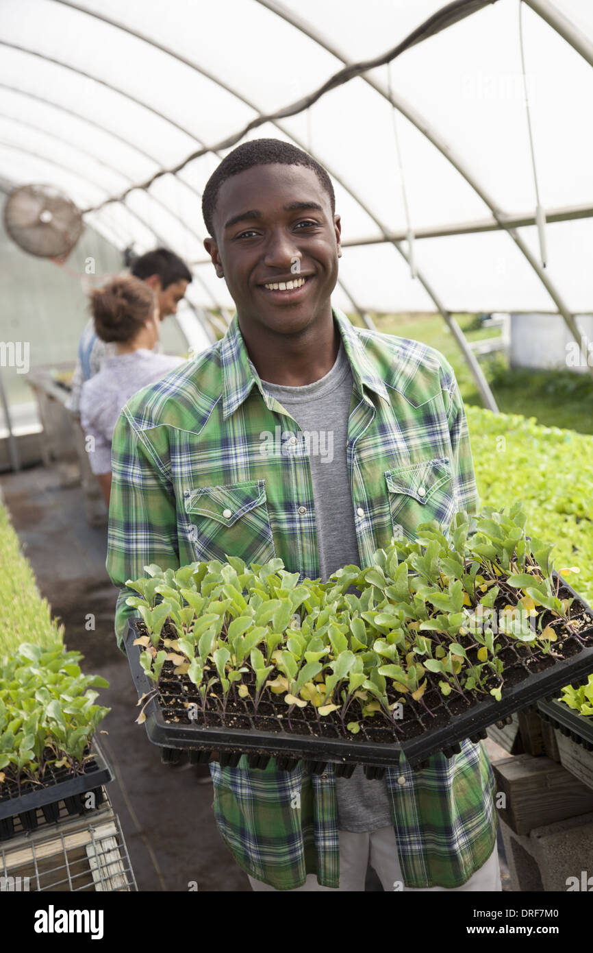 Maryland USA Two men and woman greenhouse sorting seedlings Stock Photo