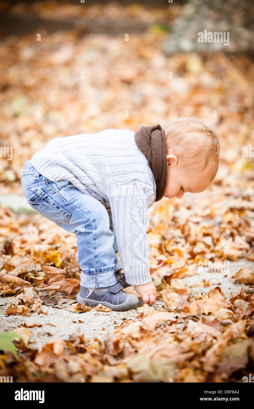 Toddler bending over among autumn leaves, Osijek, Croatia Stock Photo