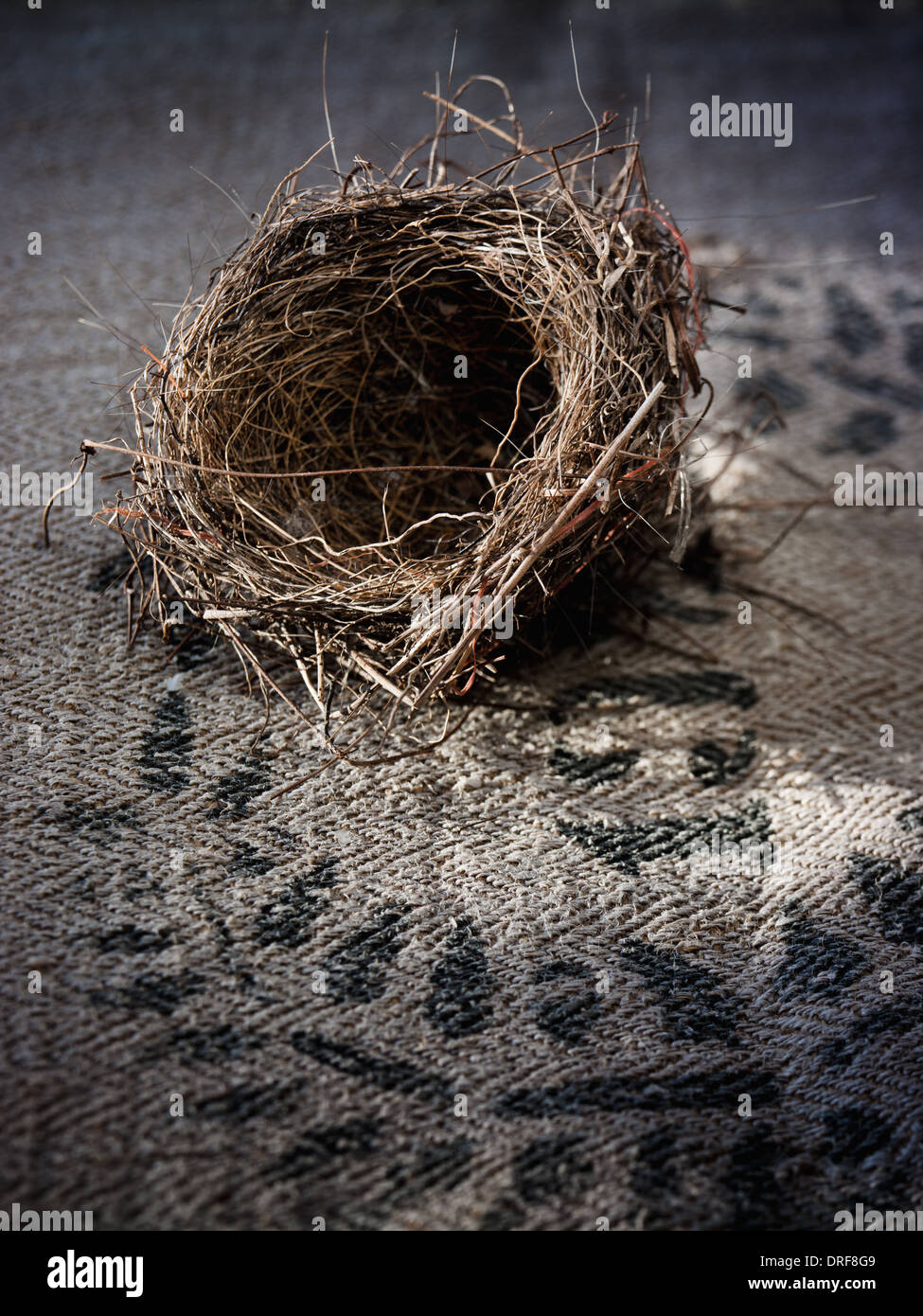 Maryland USA small intricately woven bird's nest Stock Photo