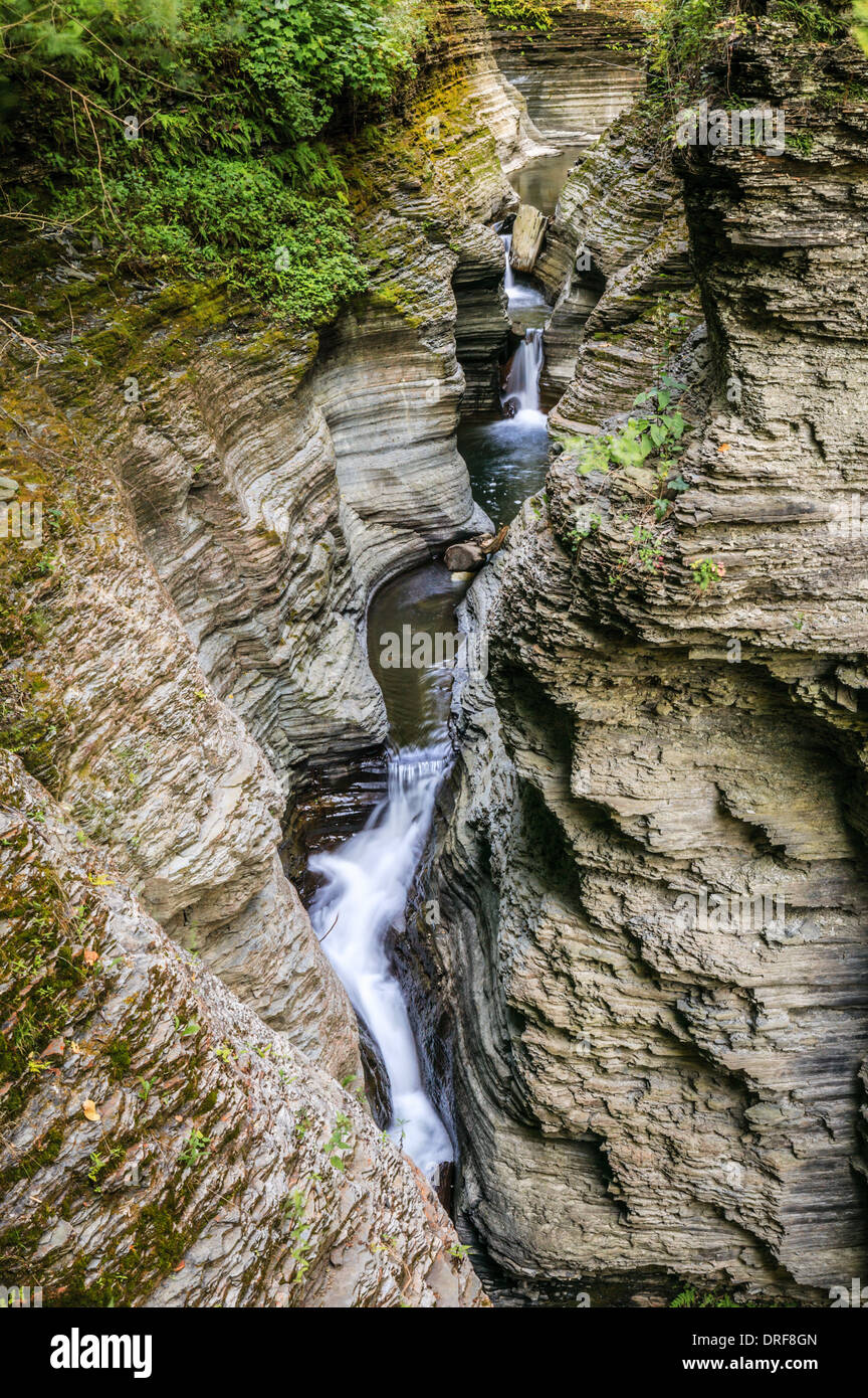 The at Watkins Glen State Park New York Schuyler County Stock