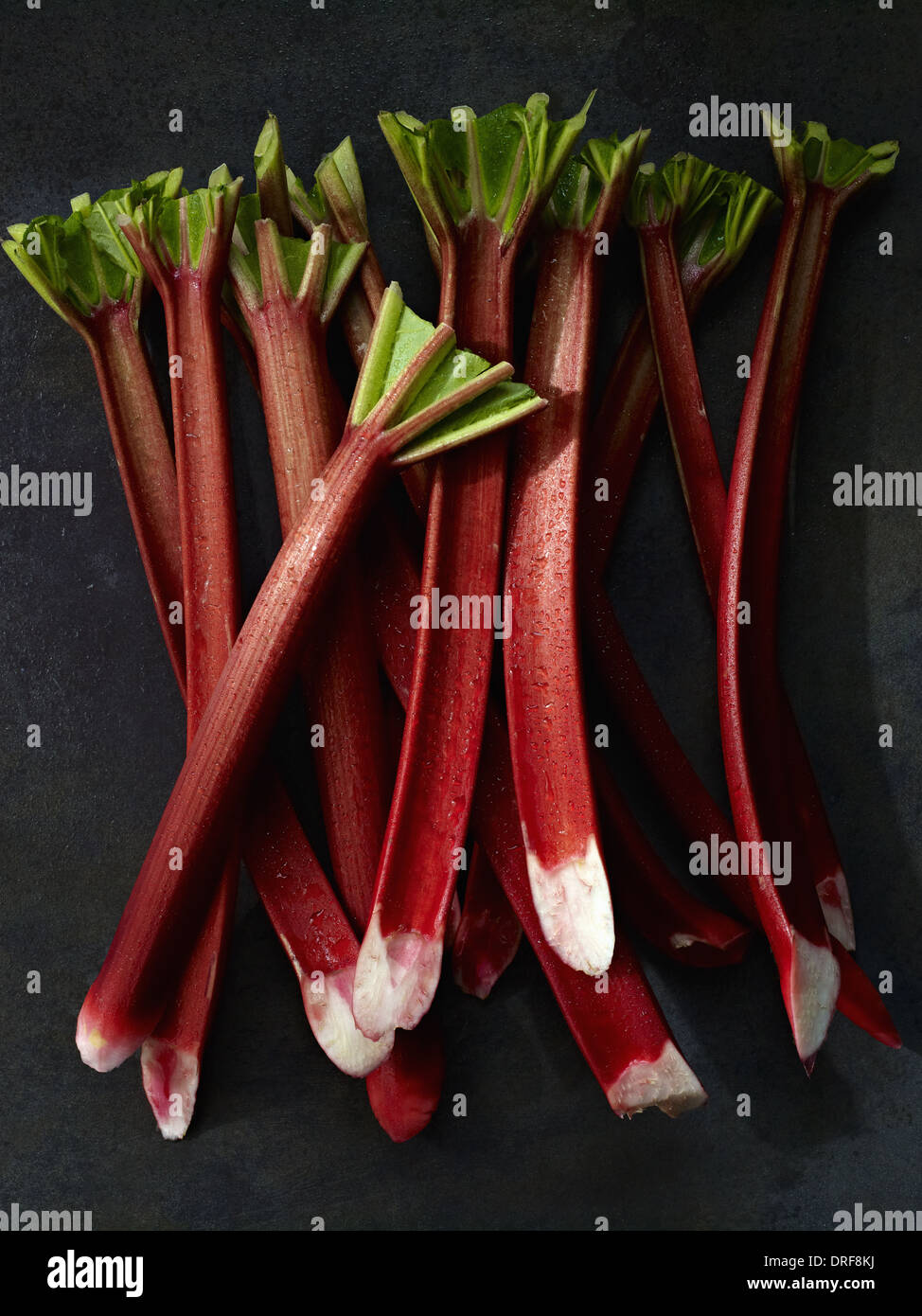 Maryland USA Sticks of fresh rhubarb with long pink stems Stock Photo