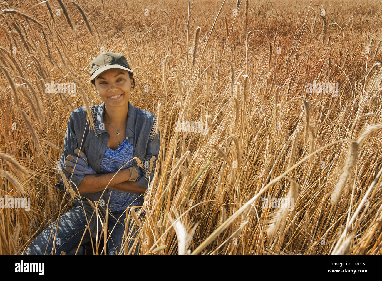 New York state USA woman smiling in field ripening cereal crop corn Stock Photo