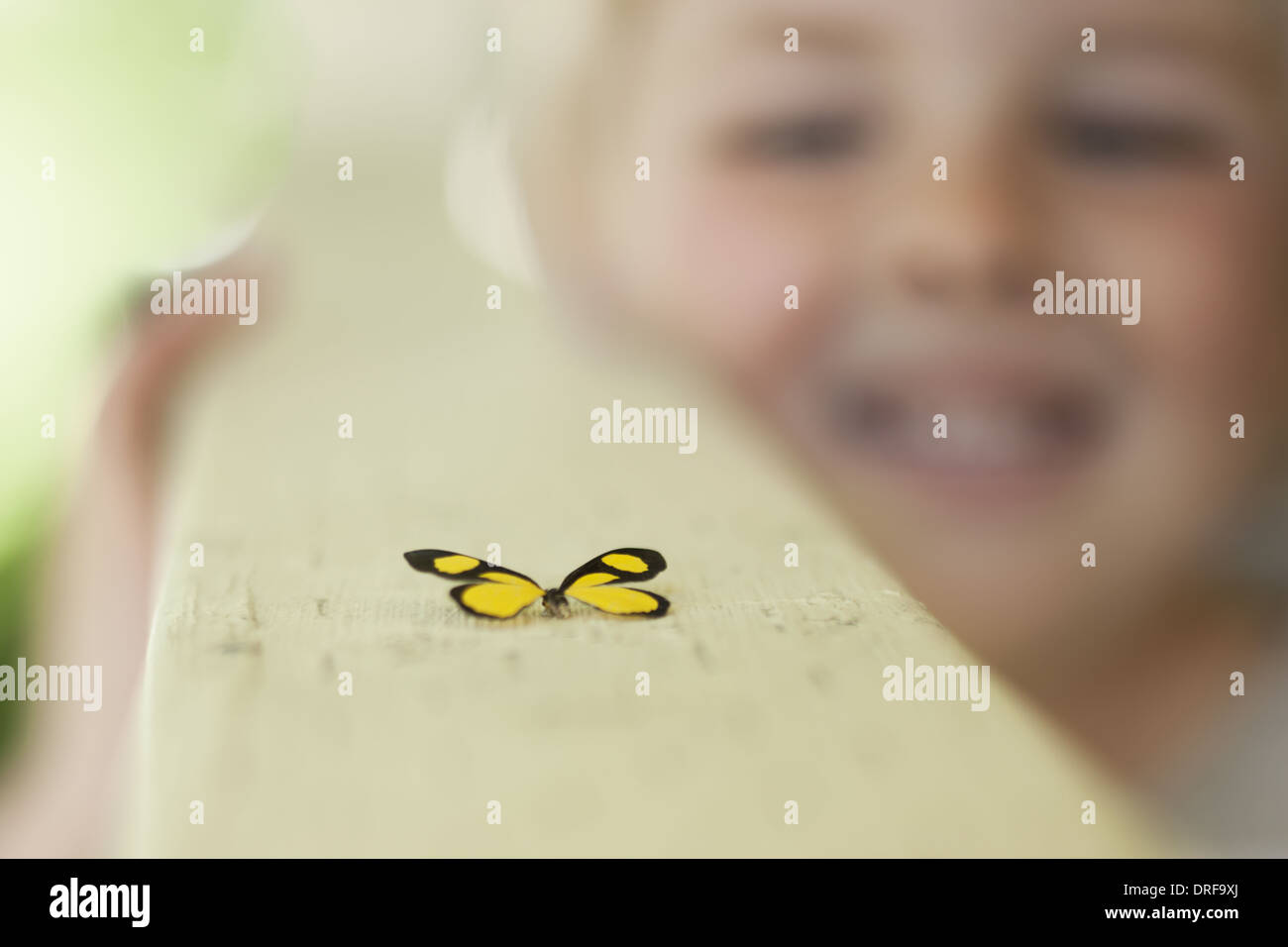 Utah USA child examining butterfly which has landed Stock Photo