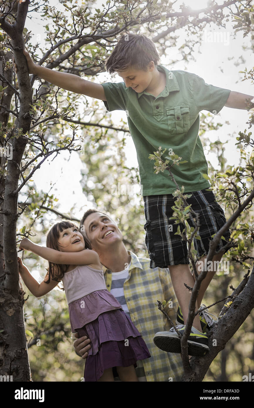Utah USA An adult with two children climbing trees Stock Photo