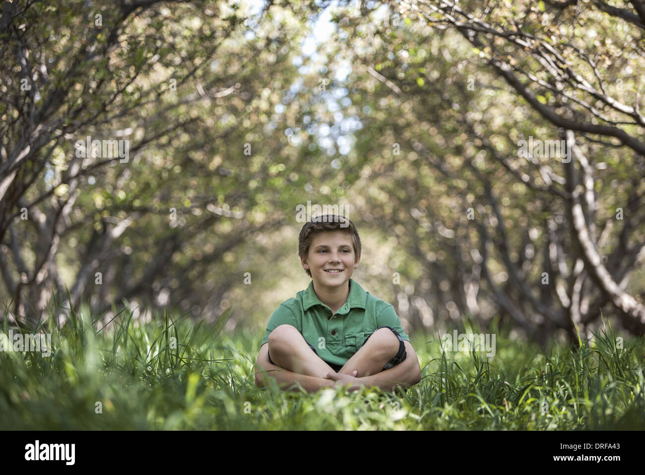 Utah USA boy sitting cross-legged woodland tunnel of trees Stock Photo