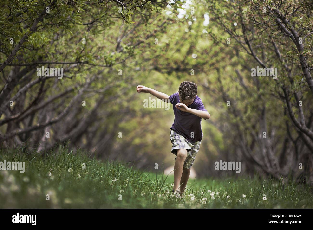 Utah USA child running along natural woodland tunnel Stock Photo