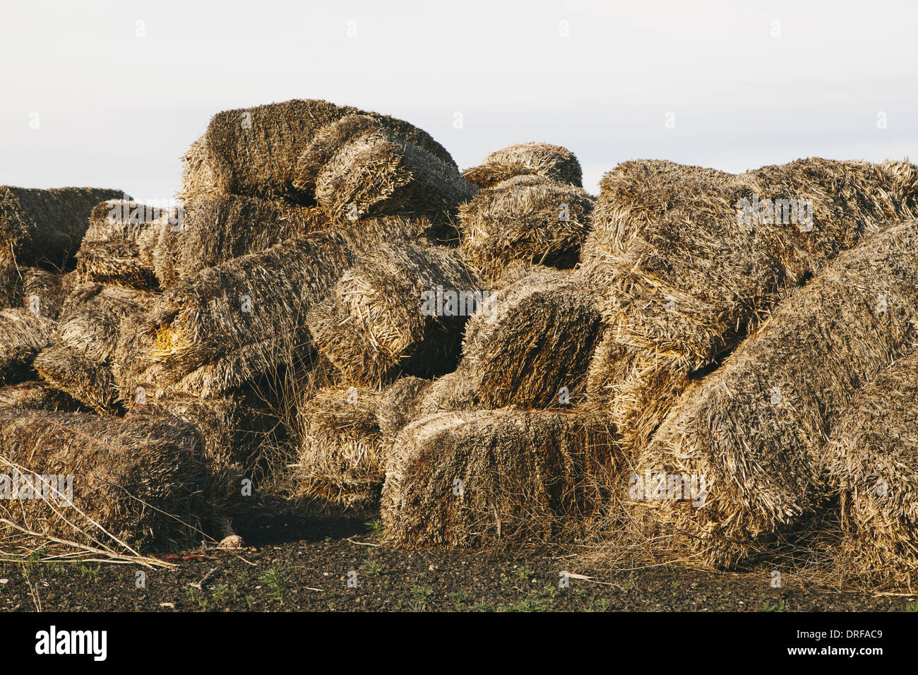 Straw heap hires stock photography and images Alamy