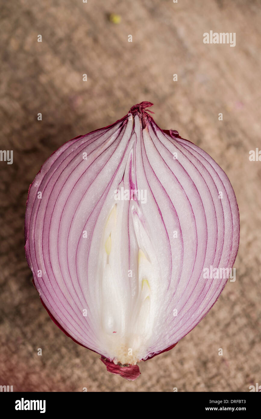 Cross section onion hires stock photography and images Alamy