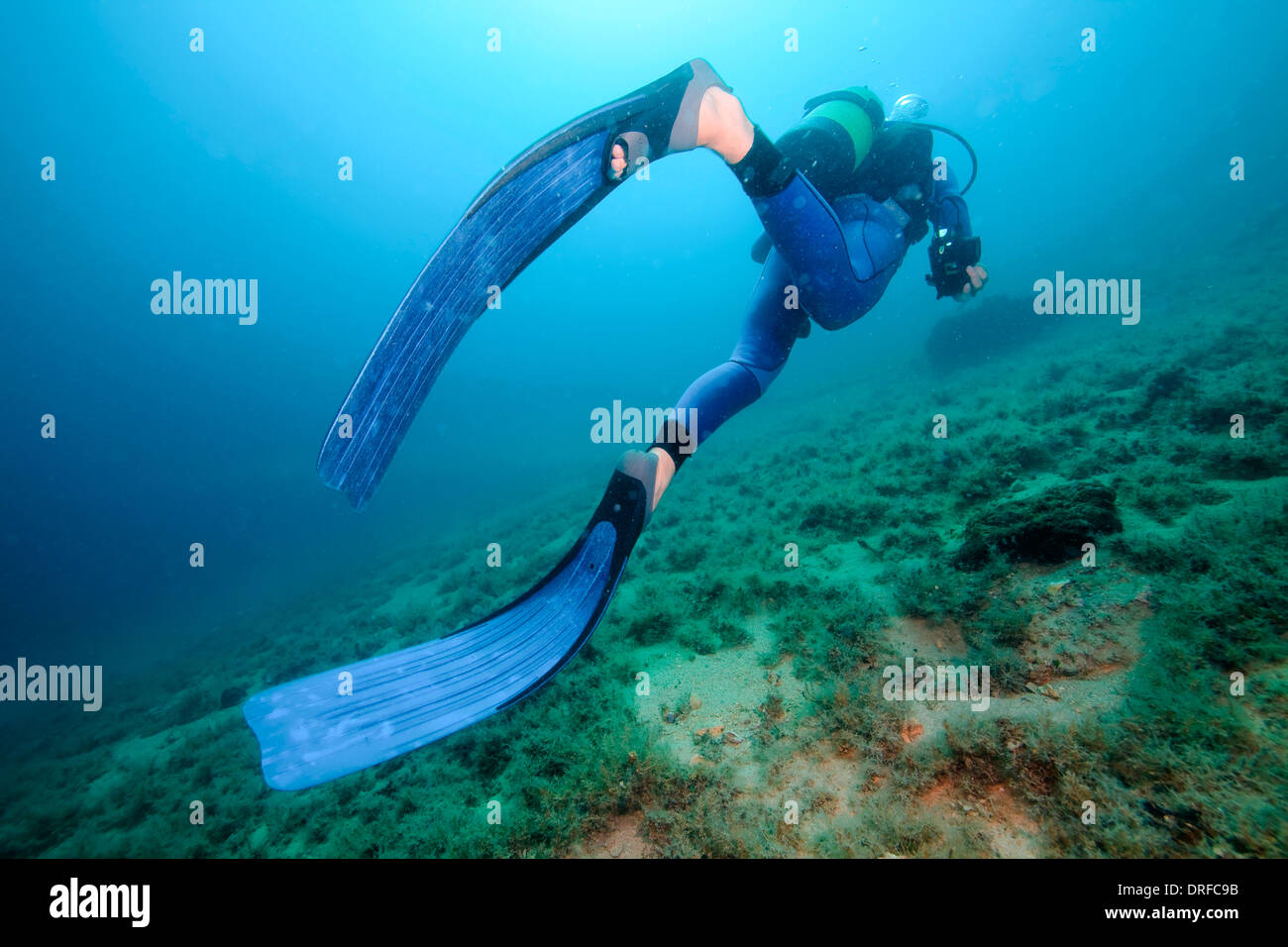 Diving, Adriatic Sea, Croatia, Europe Stock Photo