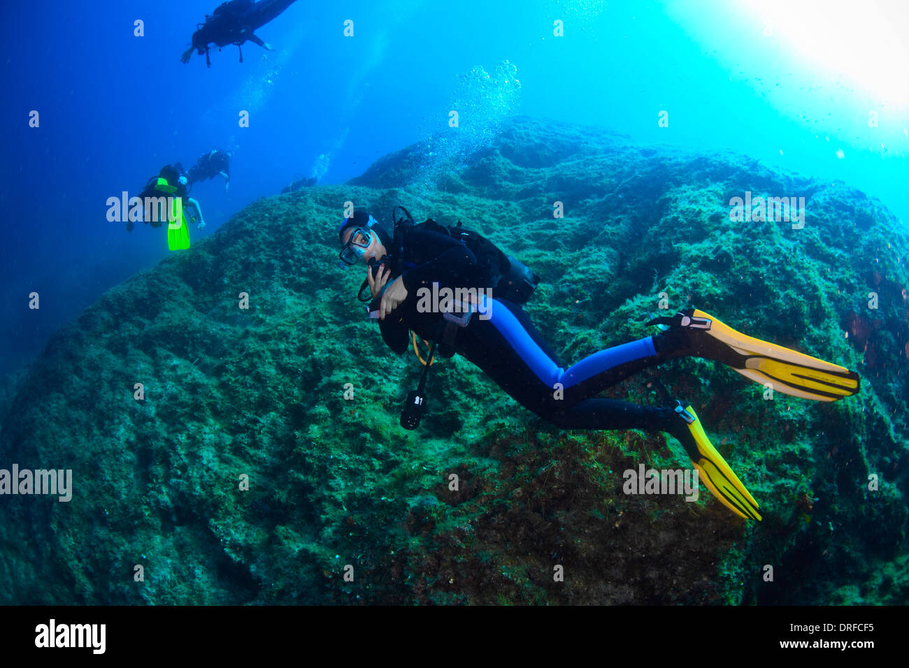 Diving, Group of Divers, Adriatic Sea, Croatia, Europe Stock Photo