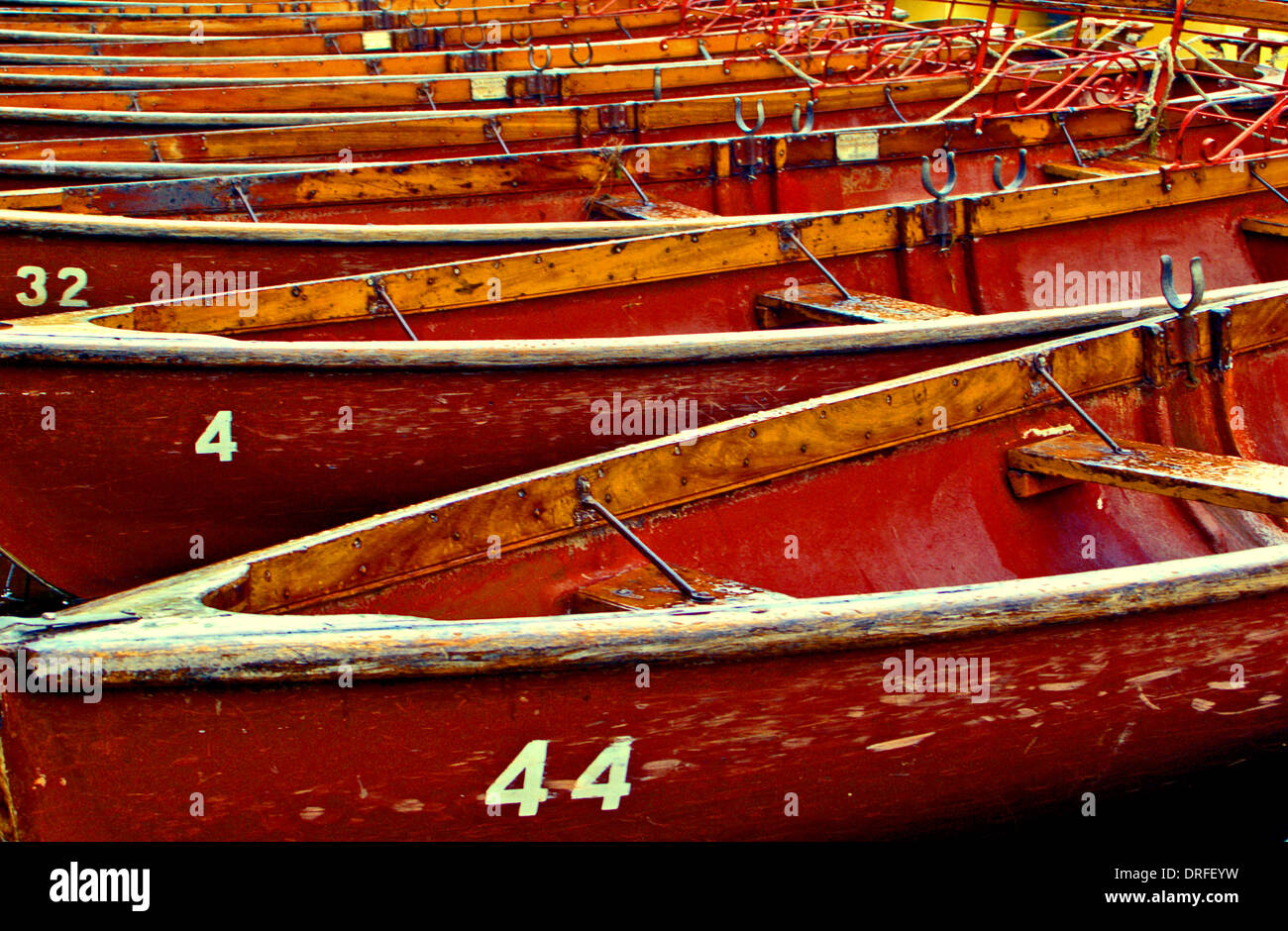 Rowing boats moored on the River Avon at Stratford. These hire boats
