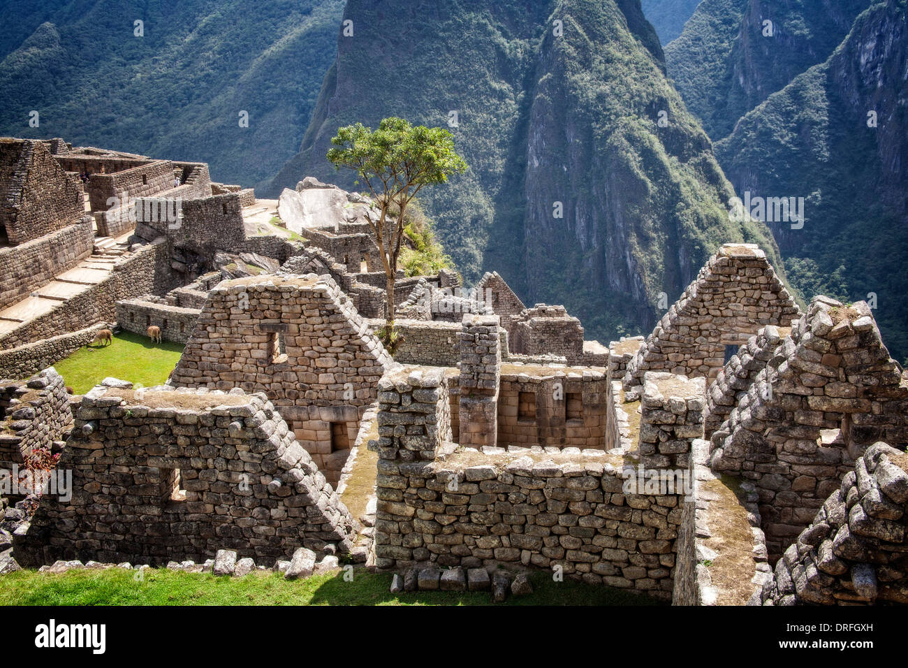 Machu picchu ancient ruins hi-res stock photography and images - Alamy