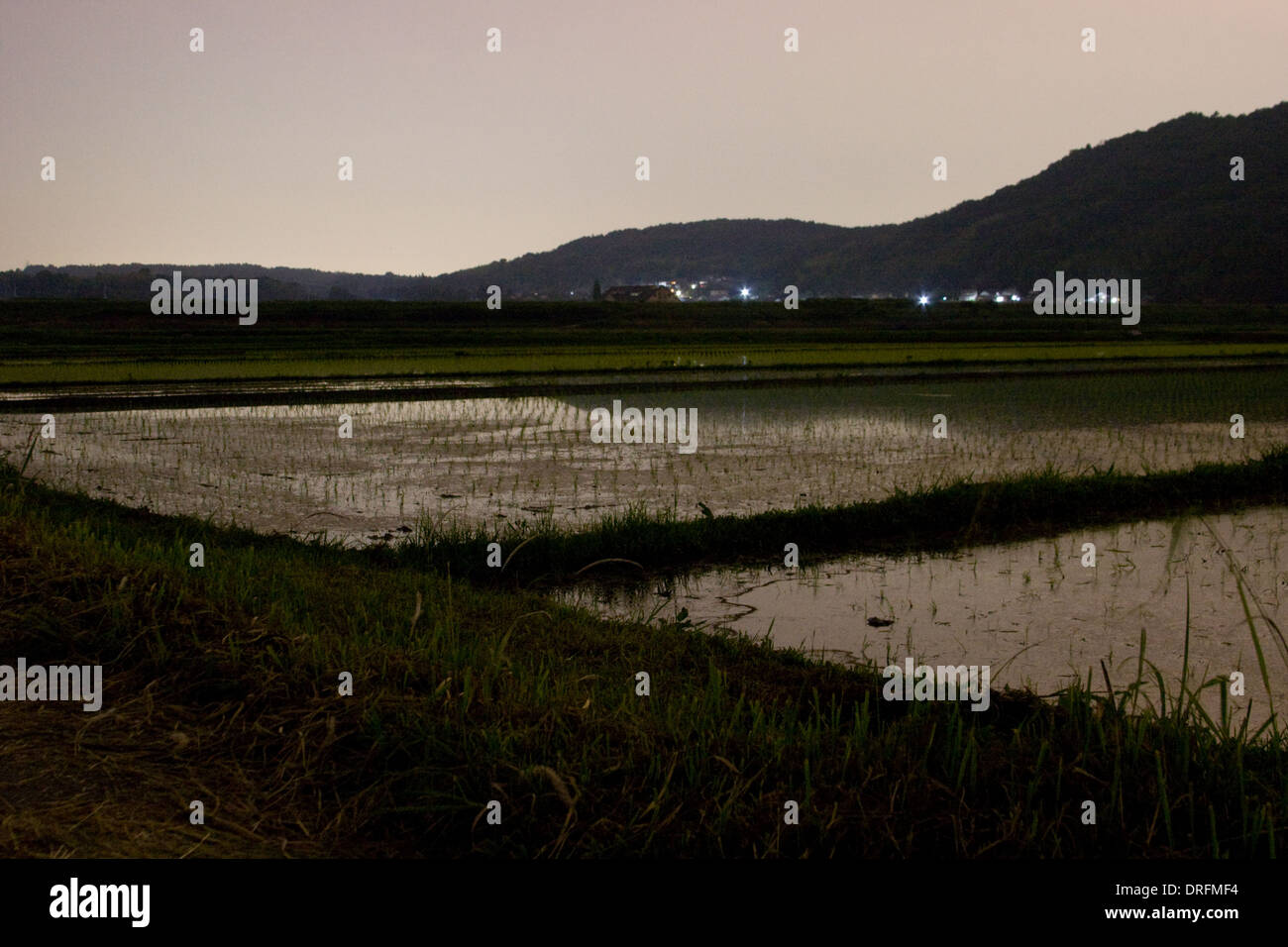 Japan dark valley hires stock photography and images Alamy
