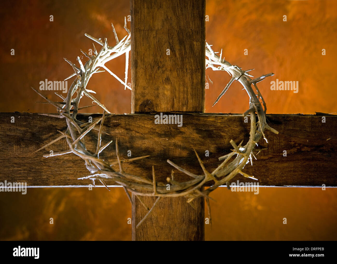 Thorns around hi-res stock photography and images - Alamy