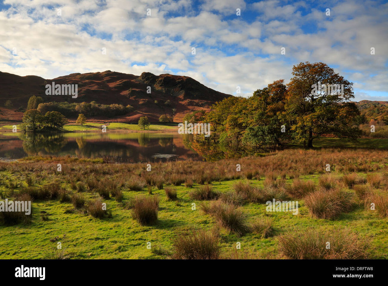 Autumn color at Rydal Water in the Lake District of England Stock Photo