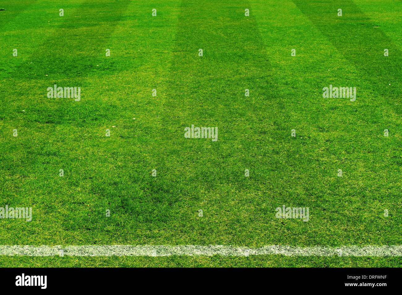 Vertical shot soccer field hi-res stock photography and images - Alamy