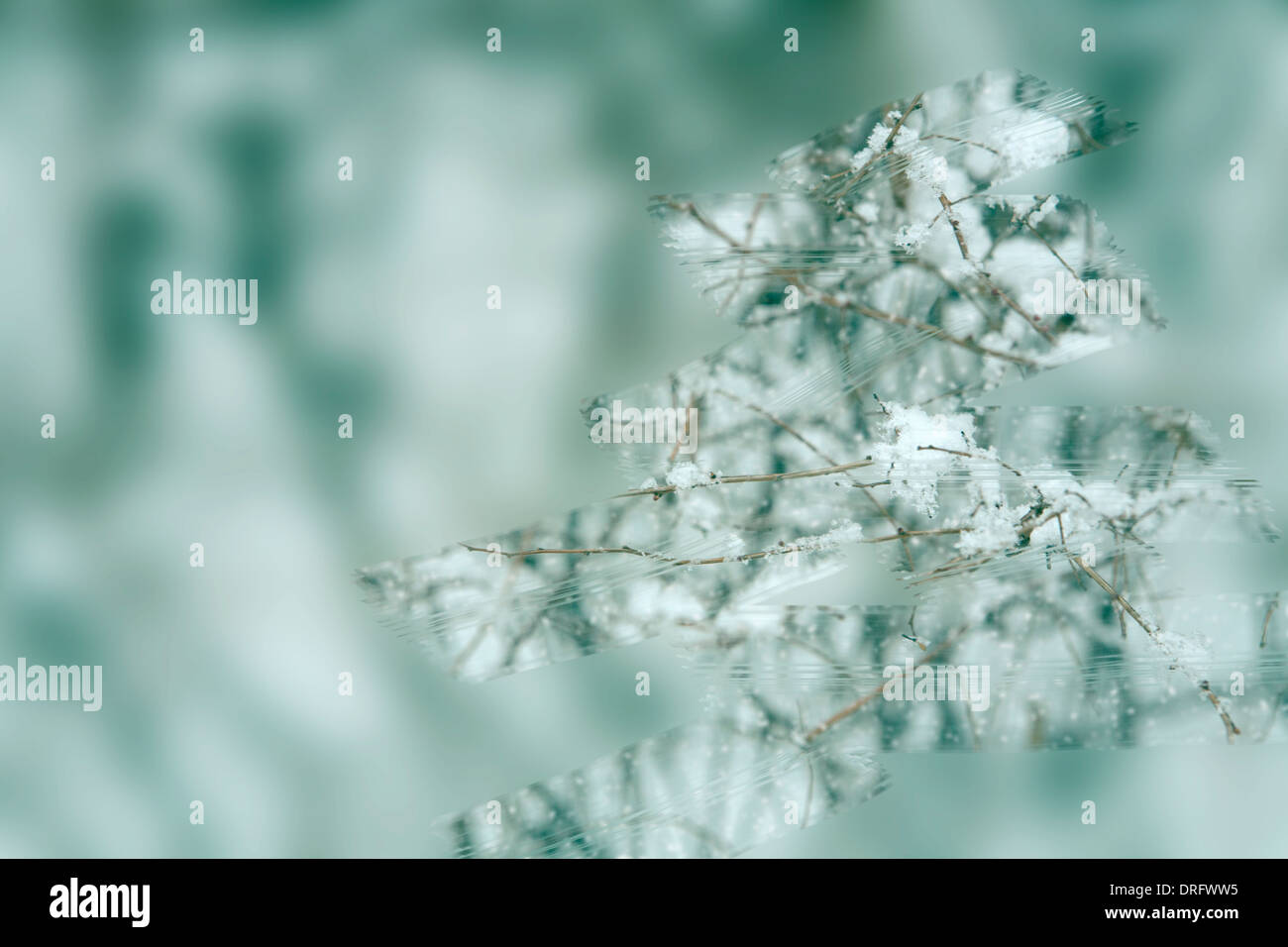 In snowy day, Snowflake is piled up on a tree branch Stock Photo