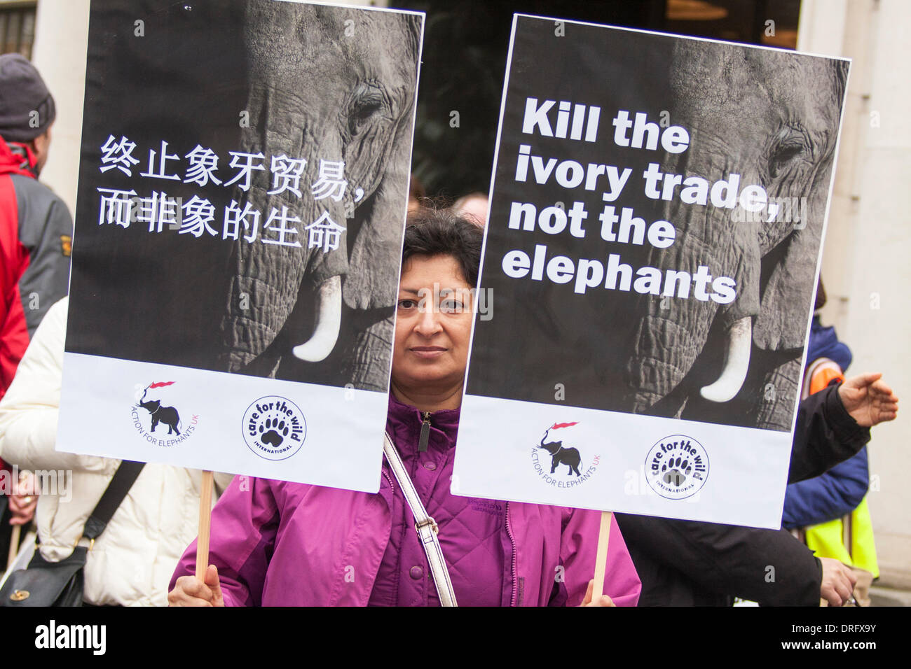 London, UK. January 25 2014. Dozens of animal rights activists demonstrate outside the Chinese embassy in London against the country's demand for ivory that is endangering elephants. Credit:  Paul Davey/Alamy Live News Stock Photo