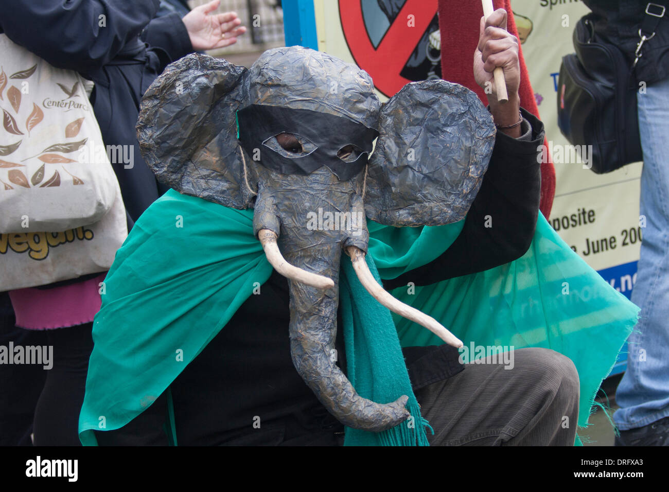 London, UK. January 25 2014. Dozens of animal rights activists demonstrate outside the Chinese embassy in London against the country's demand for ivory that is endangering elephants. Credit:  Paul Davey/Alamy Live News Stock Photo