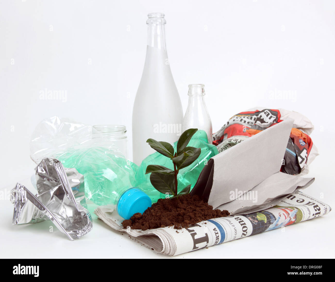 New plant growing from trash, waste collection Stock Photo Alamy
