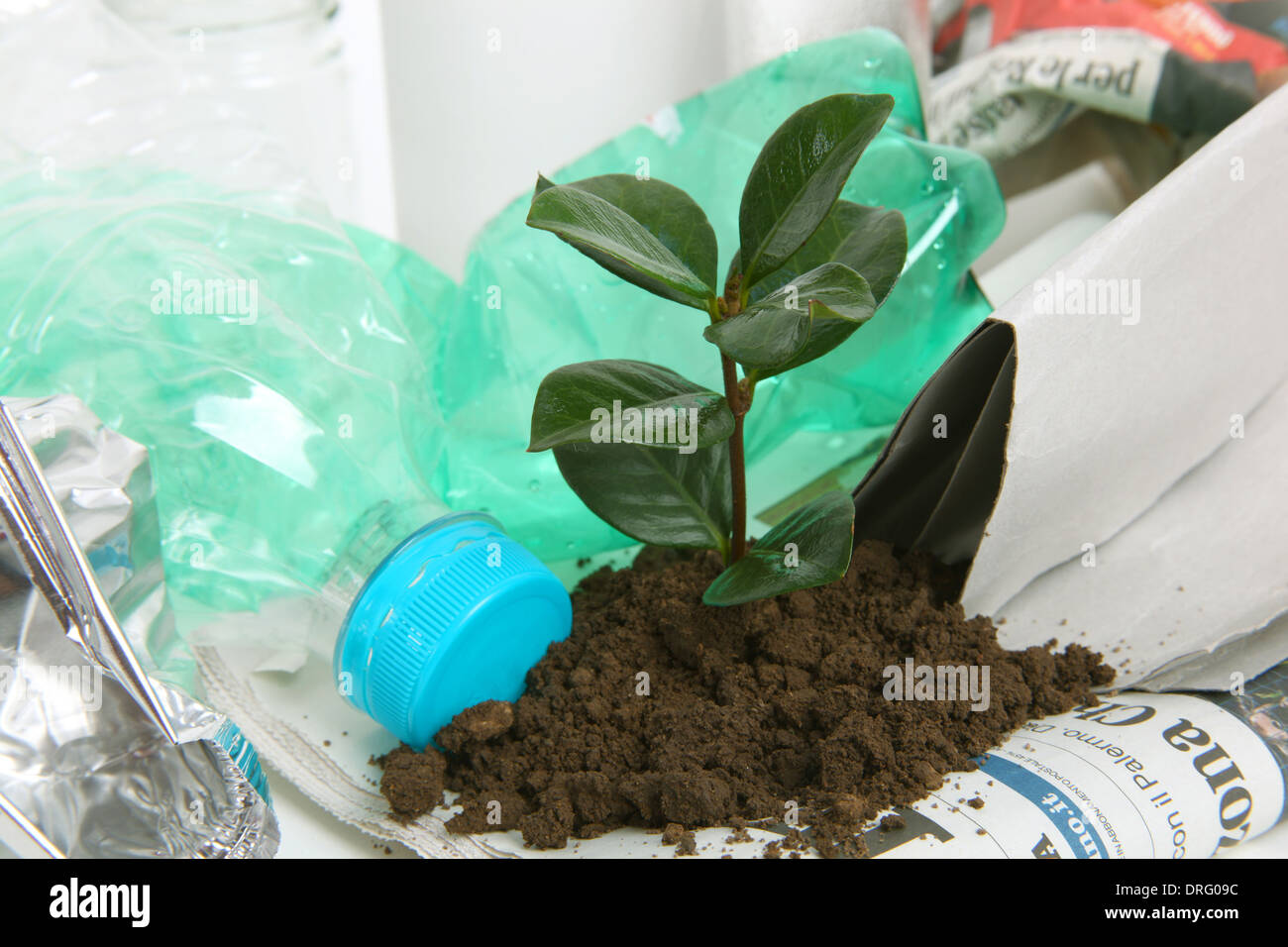 New plant growing from trash, waste collection Stock Photo Alamy