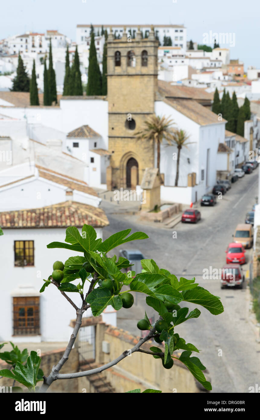 Spring view of Ronda Stock Photo - Alamy