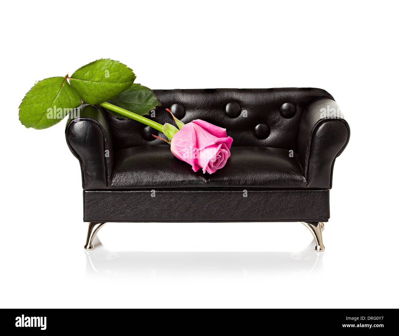Sofa with red rose close-up isolated on white background Stock Photo ...