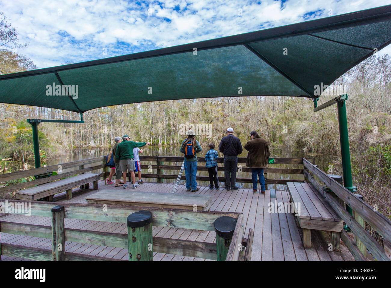 People on observation deck in Six Mile Cypress Slough Preserve in Fort Myers Florida Stock Photo