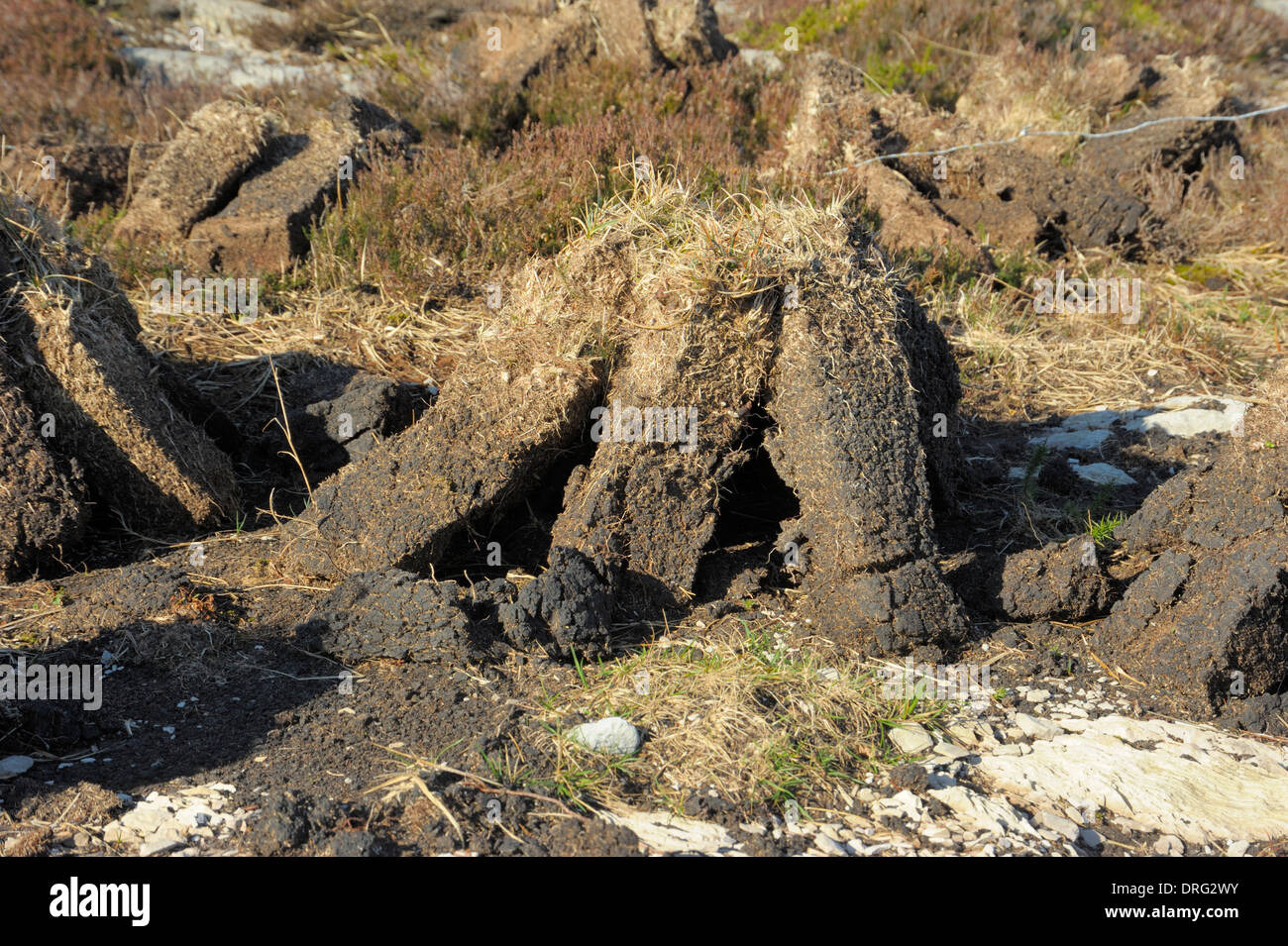 Traditional turf-cutting near Bantry Co Cork, Ireland stack of peat blocks drying Stock Photo