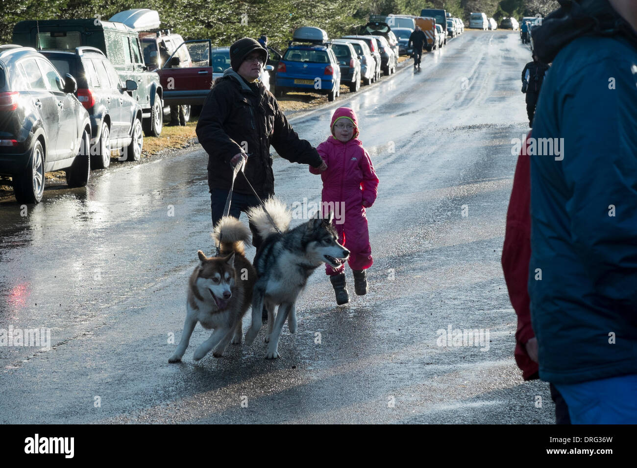 Aviemore, Scotland, UK. 25th January 2014. Some spectators who managed enjoy one of the infrequent sunny spells of the day at 31st Anniversary Aviemore Sled Dog Rally 2014 Credit:  Thomas Bisset/Alamy Live News Stock Photo