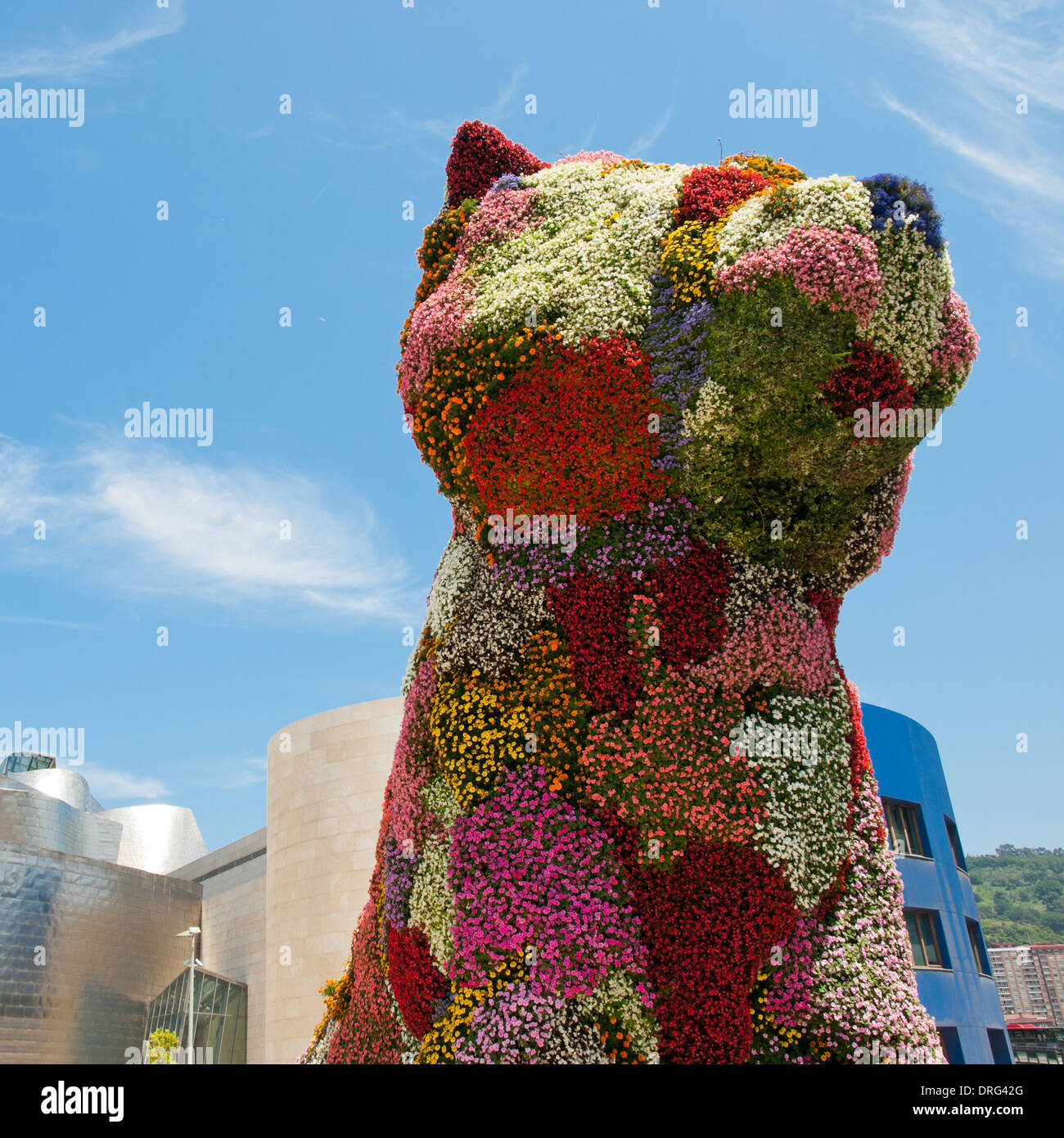 A view of 'Puppy', a floral sculpture by American artist Jeff Koons, in front of the Guggenheim Museum Bilbao in Bilbao, Spain. Stock Photo