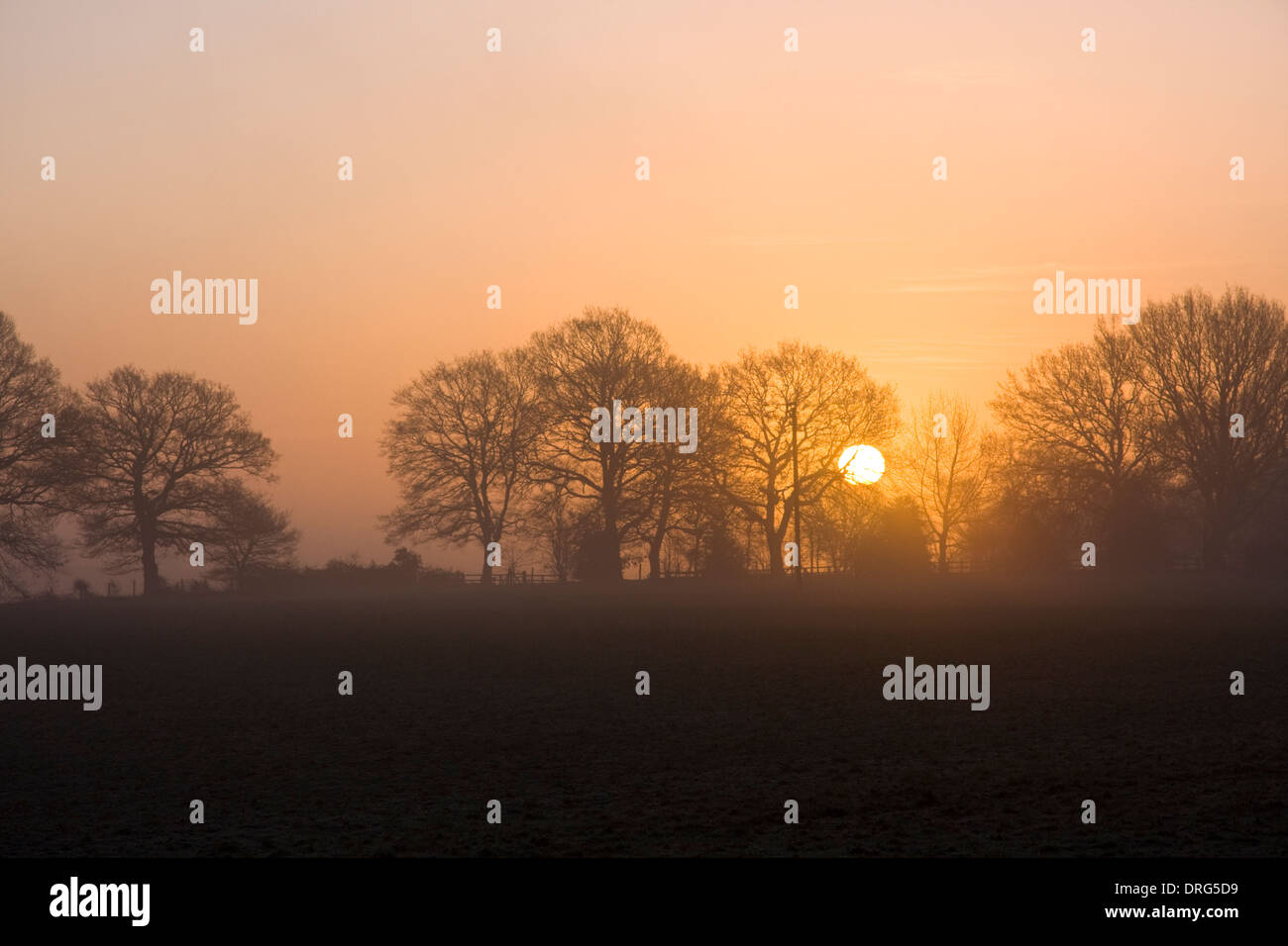 Sunrise over a Cotswold field Stock Photo