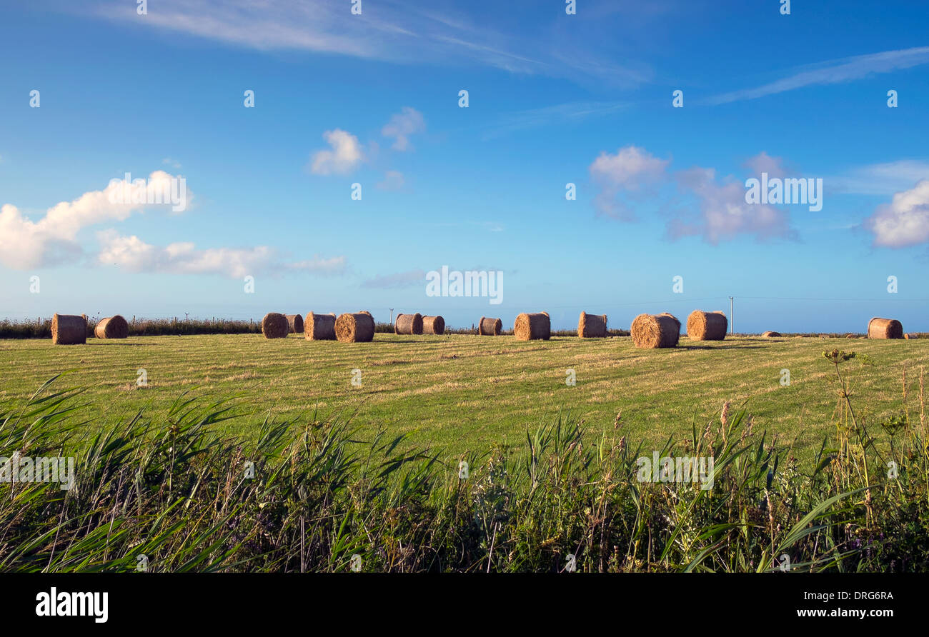 Scotland, Argyll & Bute, Inner Hebrides, Tiree, Hay bales from august harvest Stock Photo