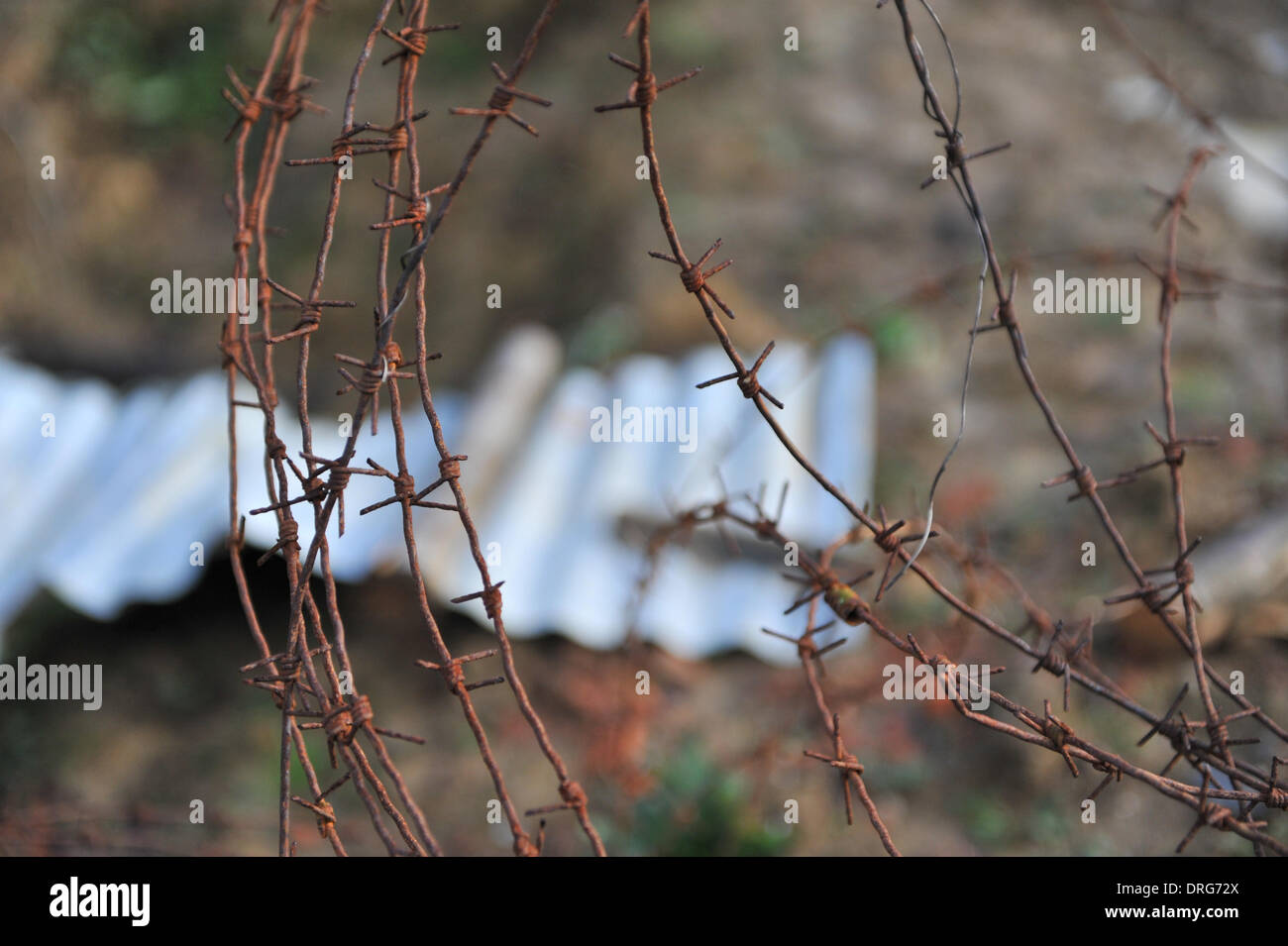 Charlwood, Surrey, UK. 25th January 2014. Very real and rusty barbed wire at the Trench. Credit:  Matthew Chattle/Alamy Live News Stock Photo