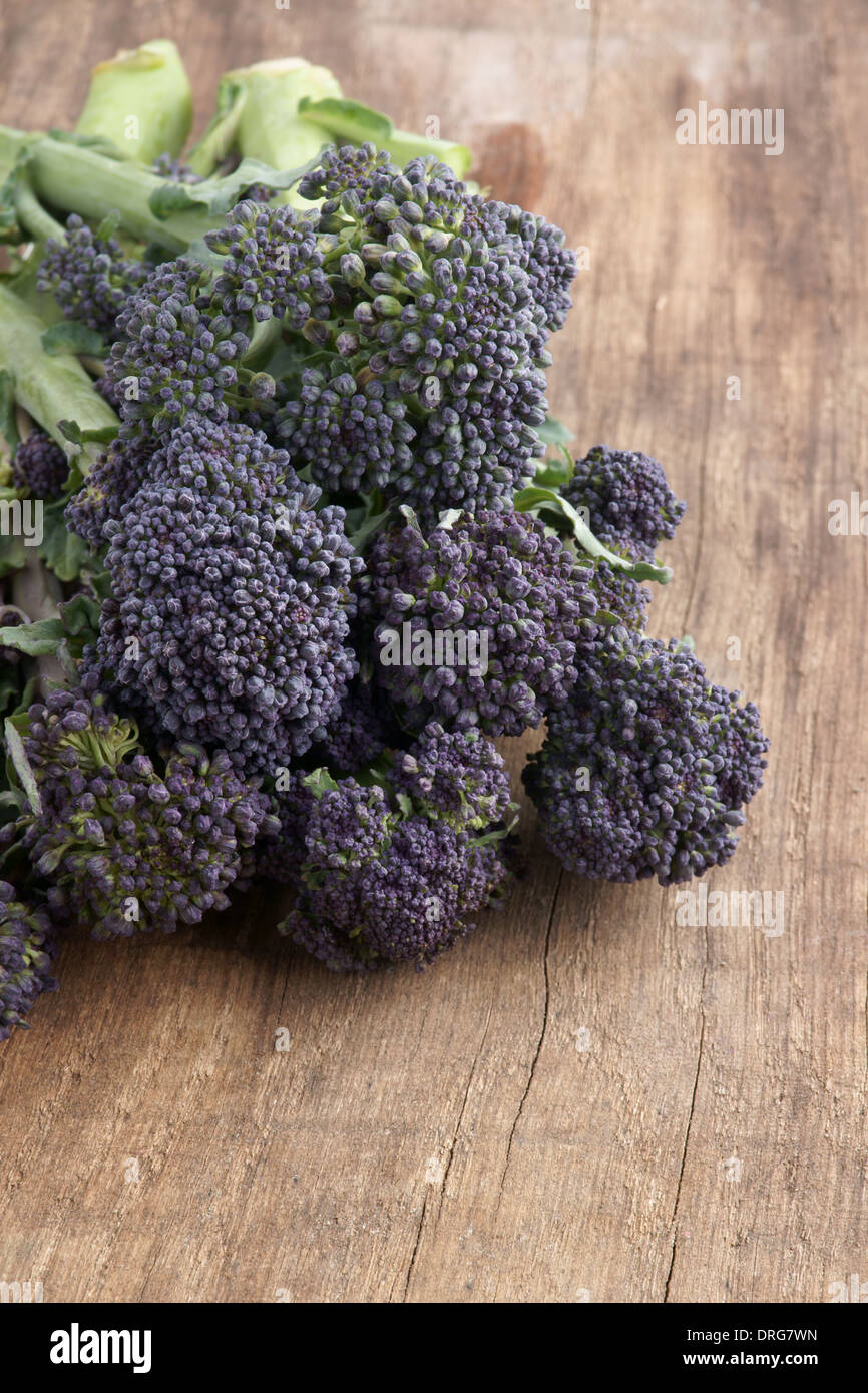 Purple sprouting broccoli a vegetable high in nutrients Stock Photo Alamy