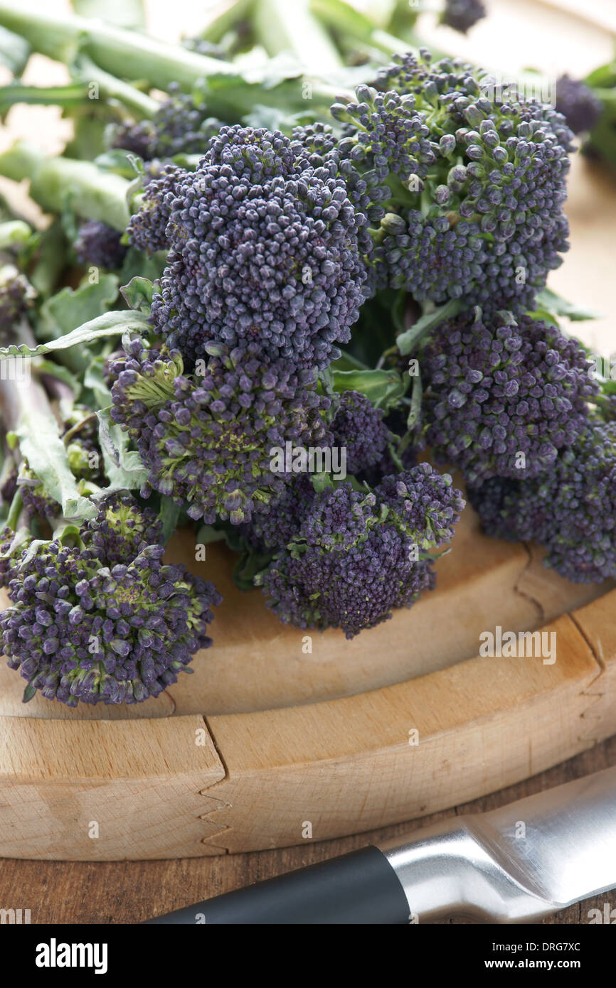 Purple sprouting broccoli a winter vegetable high in nutrients Stock