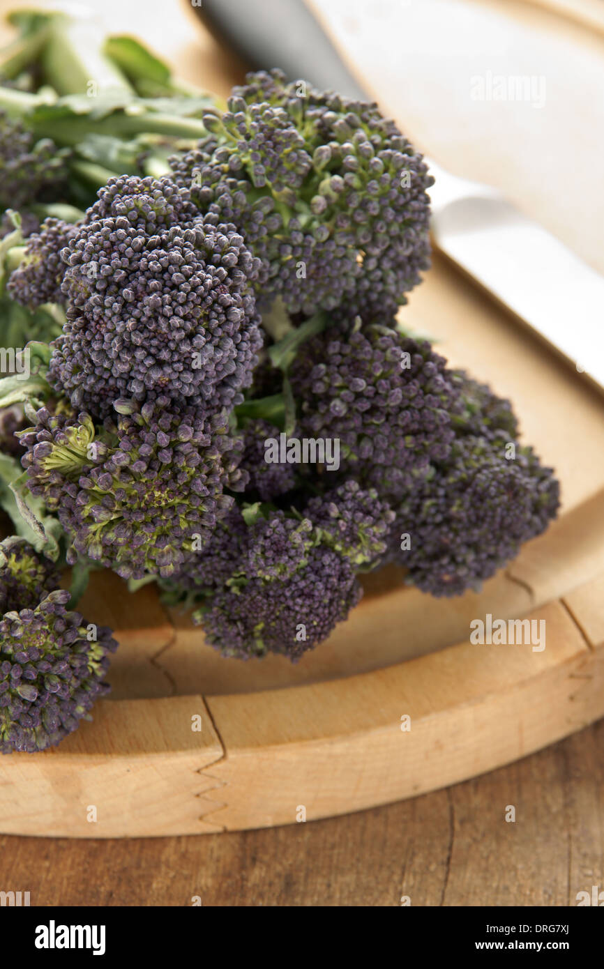 Purple sprouting broccoli a winter vegetable high in nutrients Stock