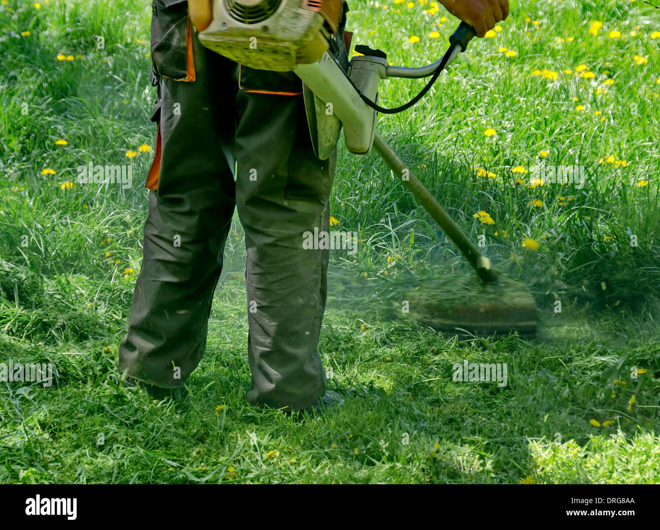 Experienced worker cut grass with Lawn mower in garden Stock Photo