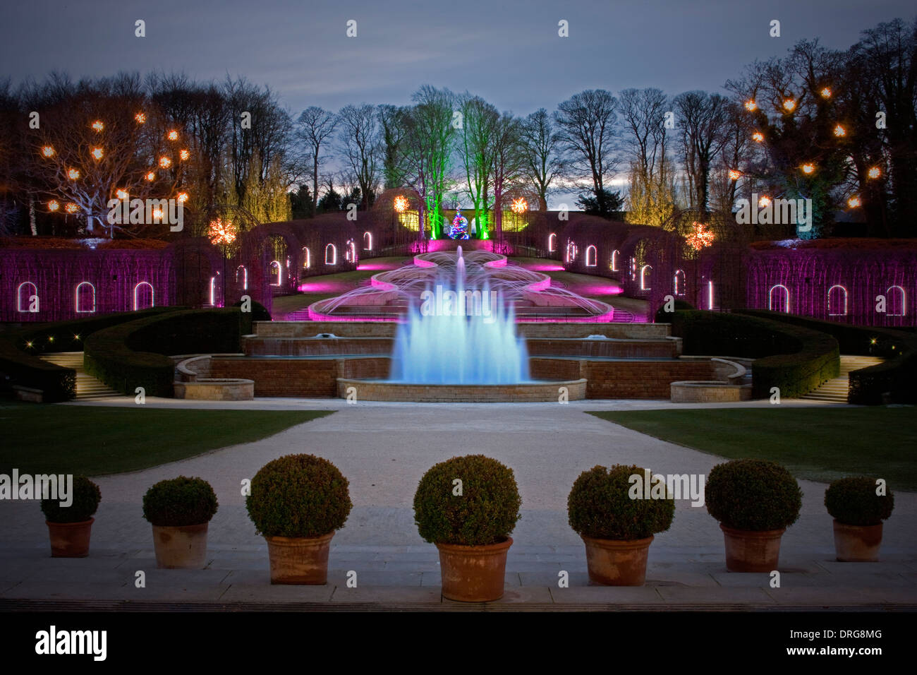 The Alnwick Garden in Alnwick, Northumberland floodlit at Christmas