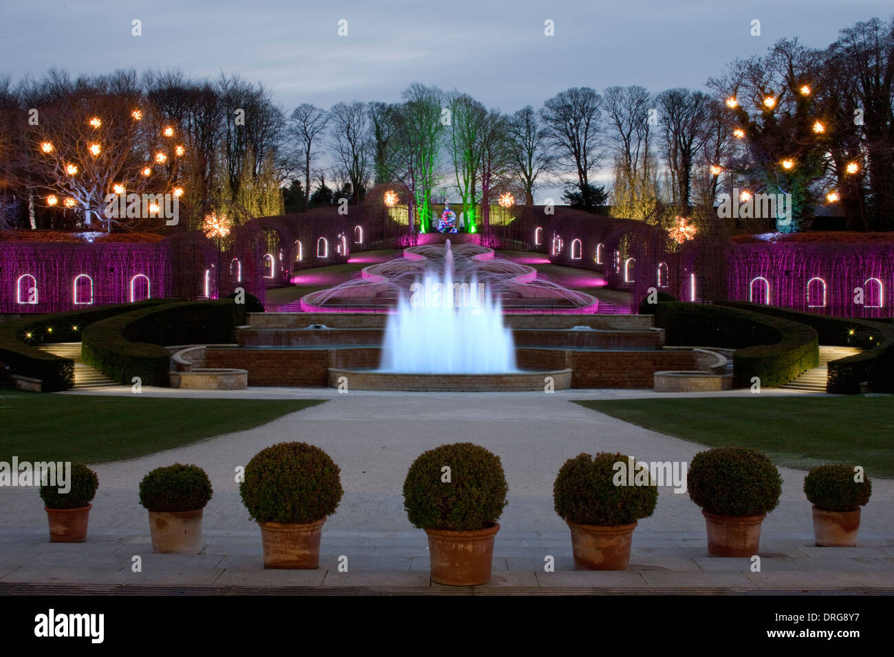The Alnwick Garden in Alnwick, Northumberland floodlit at Christmas