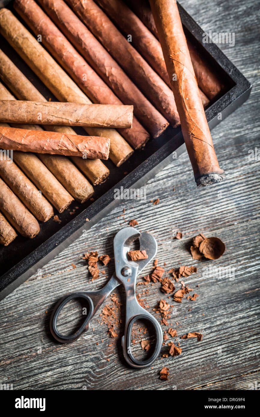 Enjoy of cigar Stock Photo