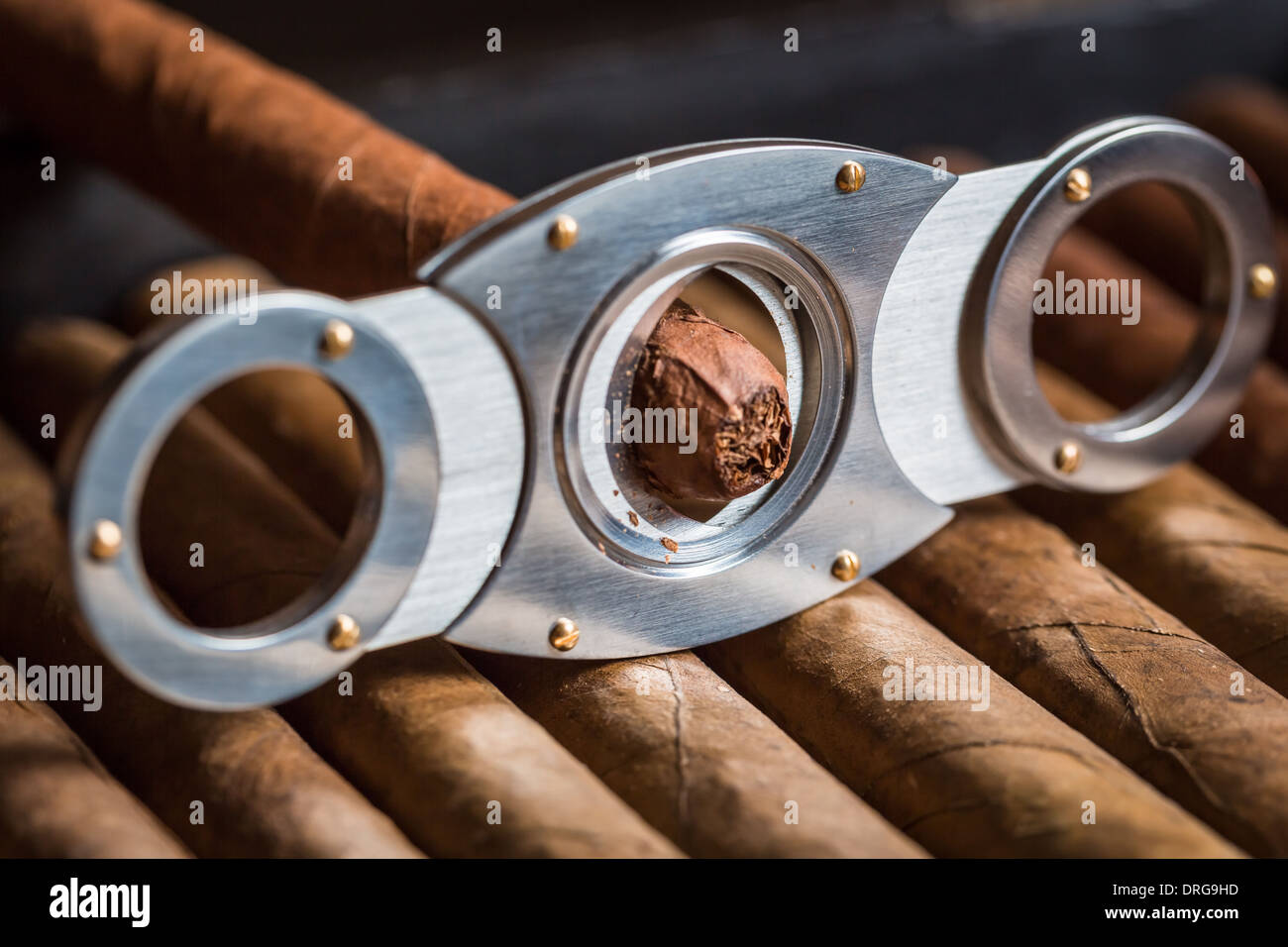 Guillotine cutting off cigar tip Stock Photo Alamy