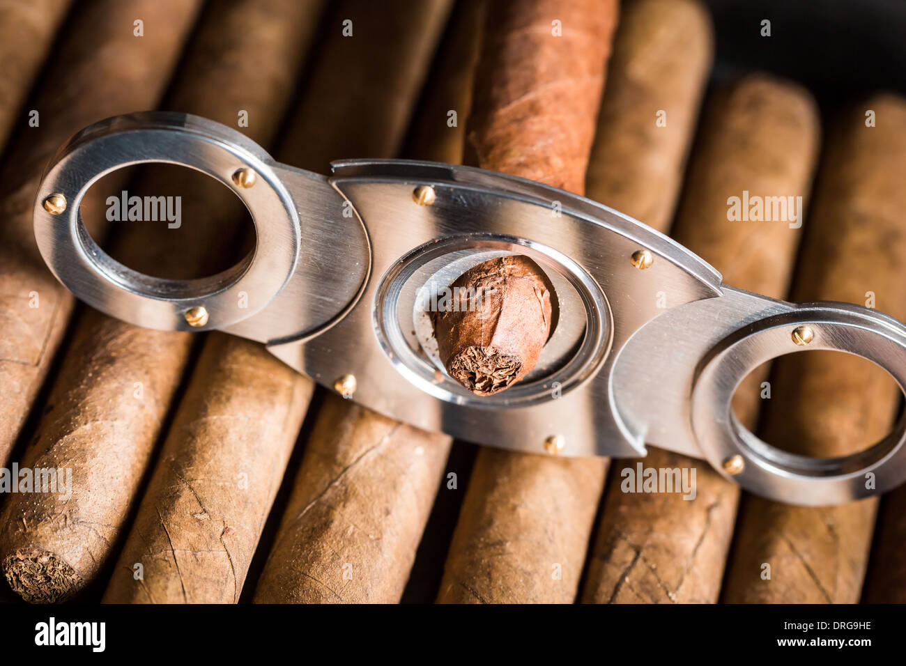 Closeup of guillotine and cigar tip Stock Photo