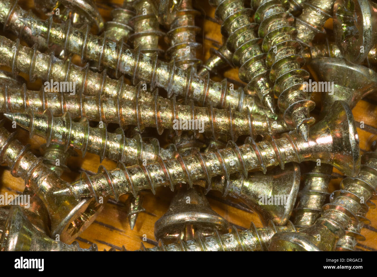 Wood Screws Hi res Stock Photography And Images Alamy