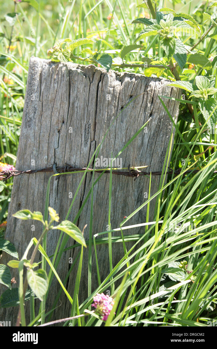 Fence post flowers hires stock photography and images Alamy