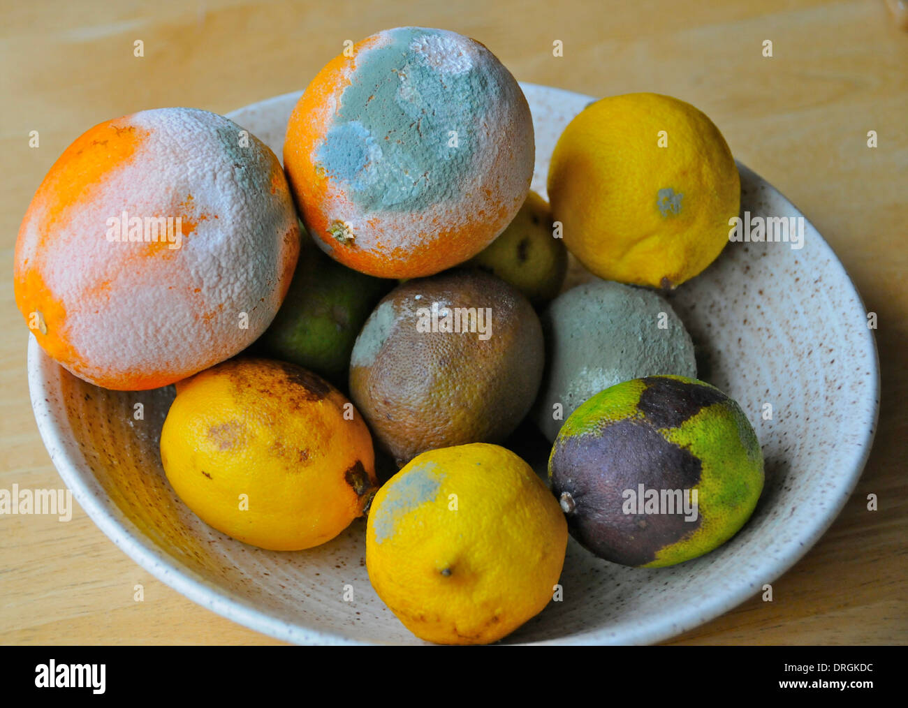 Mouldy moldy fruit left in a bowl Stock Photo 66134696 Alamy
